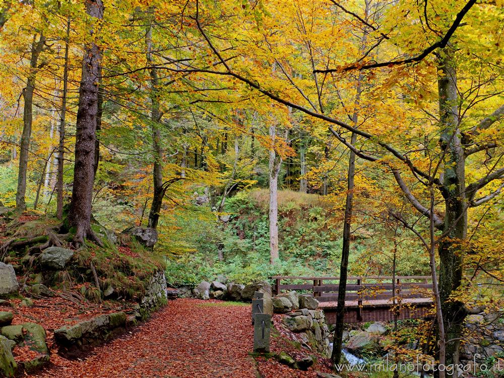 Biella, Italy - Autumn woods with little bridge near the Sanctuary of Oropa